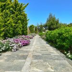 Satılır Torpaq, Şüvəlan, Xəzər rayonu 2