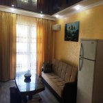 Kirayə (günlük) 3 otaqlı Xarici Əmlak 9