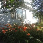 Kirayə (günlük) 3 otaqlı Həyət evi/villa Qusar 32