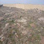 Продажа Участок, пос. Бадамдар, Сябаиль район 6