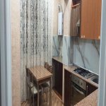Kirayə (aylıq) 2 otaqlı Köhnə Tikili, Nəriman Nərimanov metrosu, Montin qəs., Nərimanov rayonu 3