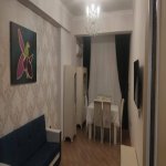 Kirayə (aylıq) 2 otaqlı Yeni Tikili, Bayıl qəs., Səbail rayonu 1