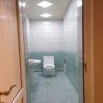Kirayə (aylıq) 10 otaqlı Həyət evi/villa, Gənclik metrosu, Nərimanov rayonu 9