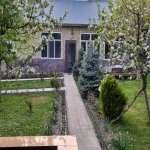 Kirayə (günlük) 3 otaqlı Həyət evi/villa Qəbələ 12