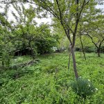 Продажа 3 комнат Дома/Виллы Исмаиллы 5