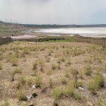 Satılır Torpaq, Novxanı, Abşeron rayonu 3