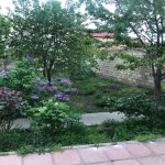 Satılır 5 otaqlı Həyət evi/villa Şəmkir 23