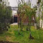 Kirayə (günlük) 3 otaqlı Bağ evi Lənkəran 2
