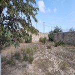 Satılır Torpaq, Maştağa qəs., Sabunçu rayonu 12