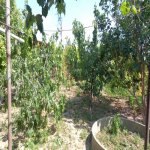 Satılır 3 otaqlı Həyət evi/villa Sumqayıt 9