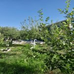Kirayə (günlük) 4 otaqlı Həyət evi/villa İsmayıllı 13