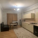Kirayə (aylıq) 3 otaqlı Yeni Tikili, Bayıl qəs., Səbail rayonu 9