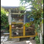 Kirayə (günlük) 3 otaqlı Həyət evi/villa Qax 14