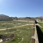 Satılır Torpaq, Saray, Abşeron rayonu 2