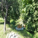 Kirayə (günlük) 3 otaqlı Həyət evi/villa İsmayıllı 2