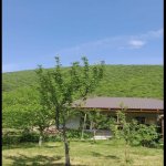 Kirayə (günlük) 2 otaqlı Həyət evi/villa Qax 1