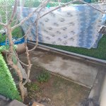 Аренда 1 комнатная Вторичка, м. Нефтчиляр метро, Сабунчу район 14