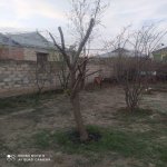 Satılır 3 otaqlı Həyət evi/villa Mingəçevir 22