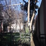 Satılır 7 otaqlı Həyət evi/villa, Zığ qəs., Suraxanı rayonu 10