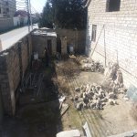 Satılır 8 otaqlı Həyət evi/villa, Koroğlu metrosu, Bilgəh qəs., Sabunçu rayonu 13