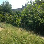 Satılır 6 otaqlı Bağ evi, Goradil, Abşeron rayonu 66