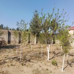 Satılır 3 otaqlı Bağ evi, Azadlıq metrosu, Fatmayi, Abşeron rayonu 12