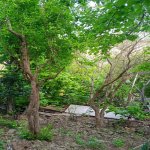 Satılır 4 otaqlı Həyət evi/villa, Avtovağzal metrosu, Biləcəri qəs., Binəqədi rayonu 2