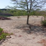 Satılır Torpaq, Şüvəlan, Xəzər rayonu 1