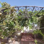 Satılır 6 otaqlı Bağ evi, Dübəndi, Xəzər rayonu 16
