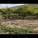 Satılır 7 otaqlı Bağ evi, Türkan, Xəzər rayonu 7