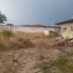 Satılır Torpaq, Saray, Abşeron rayonu 5