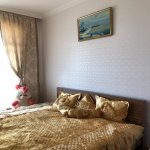Kirayə (aylıq) 2 otaqlı Yeni Tikili, 20 Yanvar metrosu, Yasamal qəs., Yasamal rayonu 8