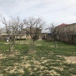 Satılır Torpaq, Saray, Abşeron rayonu 6