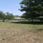 Satılır Torpaq Qəbələ 8