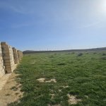 Satılır Torpaq, Masazır, Abşeron rayonu 4