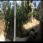 Satılır 2 otaqlı Həyət evi/villa, Avtovağzal metrosu, Sulutəpə qəs., Binəqədi rayonu 3