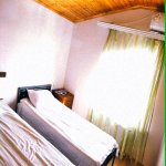 Kirayə (günlük) 3 otaqlı Bağ evi Qəbələ 3