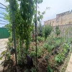 Satılır 5 otaqlı Həyət evi/villa, Binəqədi qəs., Binəqədi rayonu 9