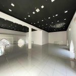 Kirayə (aylıq) Obyekt, 28 May metrosu, Nəsimi rayonu 7
