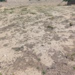 Satılır Torpaq, Şüvəlan, Xəzər rayonu 3