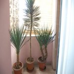 Kirayə (aylıq) 3 otaqlı Ofis, Nizami metrosu, Nəsimi rayonu 2