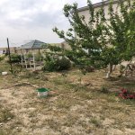 Продажа 3 комнатная Дача, пос. Курдаханы, Sea Breeze, Сабунчу район 4