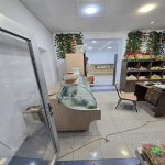 Kirayə (aylıq) Obyekt, Nəriman Nərimanov metrosu, Nərimanov rayonu 7