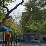 Kirayə (aylıq) 3 otaqlı Köhnə Tikili, Nəriman Nərimanov metrosu, Nərimanov rayonu 19