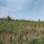 Продажа Участок Хачмаз 113