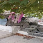 Аренда Объект, Сарай, , Абшерон район 22