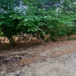 Продажа Участок, м. Нариман Нариманов метро, пос. Монтин, Наримановский р-н район 3