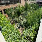 Satılır 3 otaqlı Həyət evi/villa, Ramana qəs., Sabunçu rayonu 4