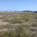 Satılır Torpaq, Koroğlu metrosu, Nardaran qəs., Sabunçu rayonu 3