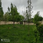 Satılır 3 otaqlı Həyət evi/villa Qəbələ 4